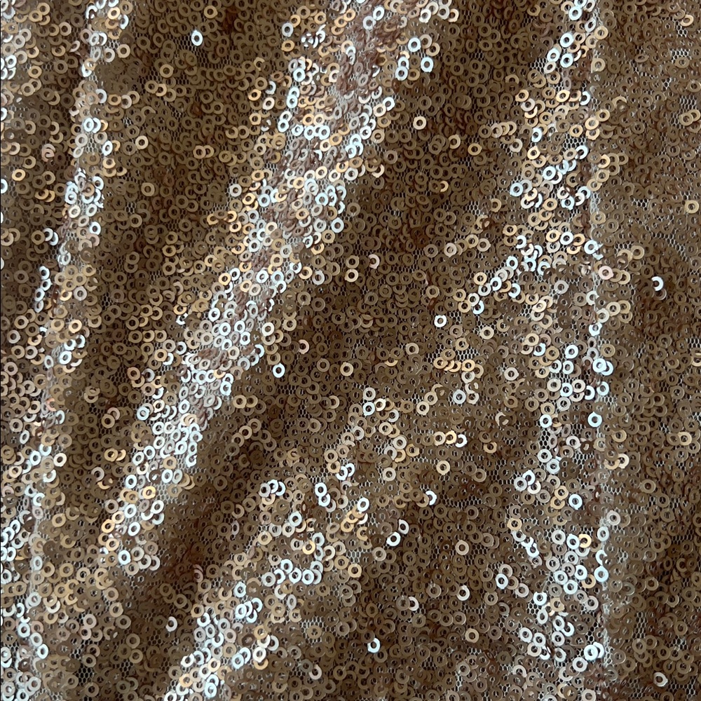 Windsor Champagne Sequin Mini dress with cutouts (Junior size 3) - Picture 3 of 4